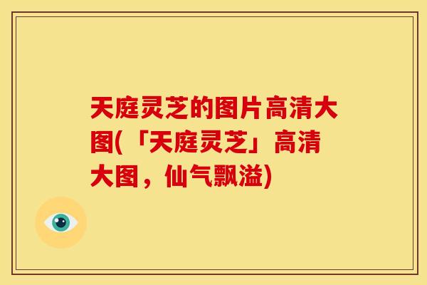 天庭灵芝的图片高清大图(「天庭灵芝」高清大图，仙气飘溢)