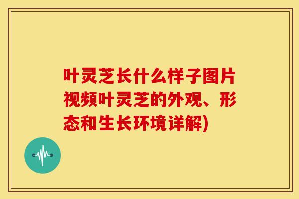 叶灵芝长什么样子图片视频叶灵芝的外观、形态和生长环境详解) 叶灵芝长什么样子图片视频叶灵芝的外观、形态和生长环境详解)