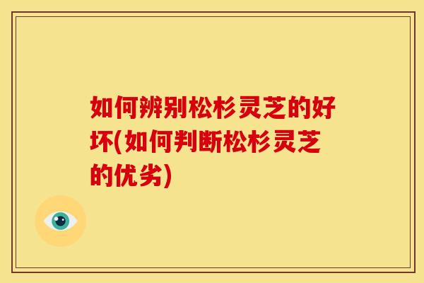 如何辨别松杉灵芝的好坏(如何判断松杉灵芝的优劣) 如何辨别松杉灵芝的好坏(如何判断松杉灵芝的优劣)