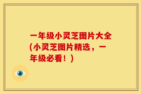 一年级小灵芝图片大全(小灵芝图片精选,一年级必看!) 一年级小灵芝图片大全(小灵芝图片精选,一年级必看!)