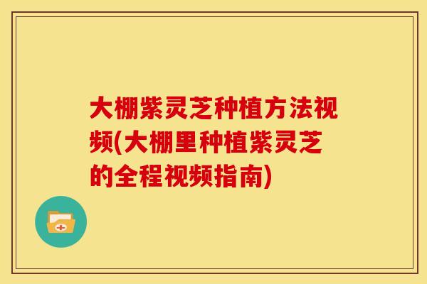 大棚紫灵芝种植方法视频(大棚里种植紫灵芝的全程视频指南)