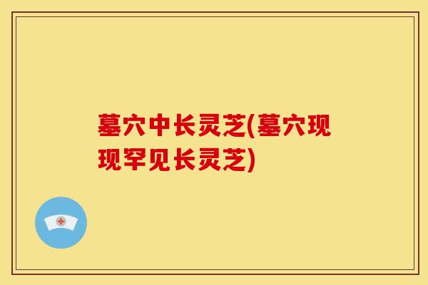墓穴中长灵芝(墓穴现现罕见长灵芝)