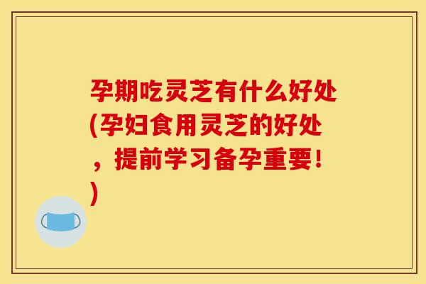 孕期吃灵芝有什么好处(孕妇食用灵芝的好处,提前学习备孕重要!) 孕期吃灵芝有什么好处(孕妇食用灵芝的好处,提前学习备孕重要!)