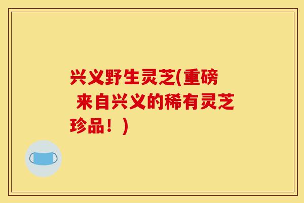 兴义野生灵芝(重磅  来自兴义的稀有灵芝珍品！)