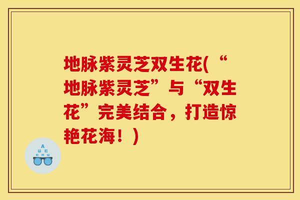 地脉紫灵芝双生花(“地脉紫灵芝”与“双生花”完美结合,打造惊艳花海!) 地脉紫灵芝双生花(“地脉紫灵芝”与“双生花”完美结合,打造惊艳花海!)