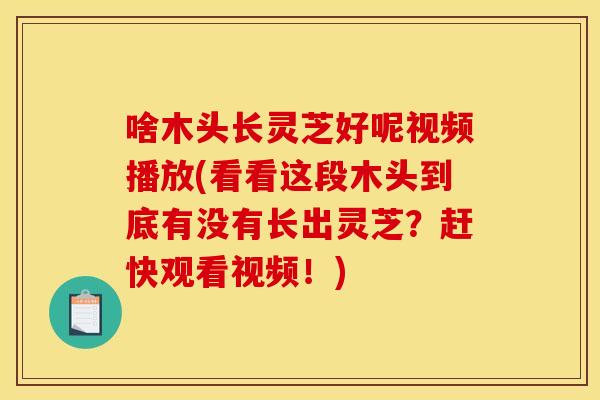 啥木头长灵芝好呢视频播放(看看这段木头到底有没有长出灵芝?赶快观看视频!) 啥木头长灵芝好呢视频播放(看看这段木头到底有没有长出灵芝?赶快观看视频!)
