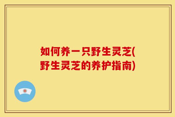 如何养一只野生灵芝(野生灵芝的养护指南) 如何养一只野生灵芝(野生灵芝的养护指南)