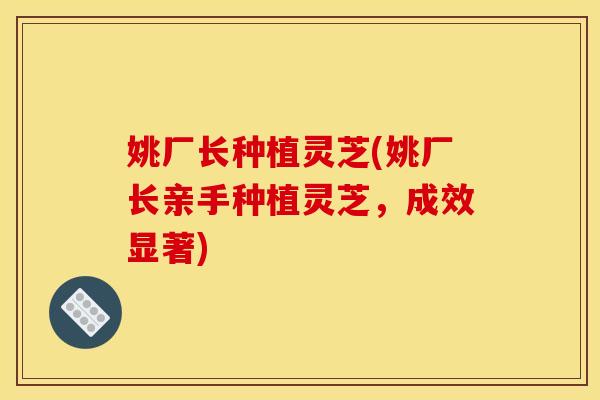 姚厂长种植灵芝(姚厂长亲手种植灵芝,成效显著) 姚厂长种植灵芝(姚厂长亲手种植灵芝,成效显著)