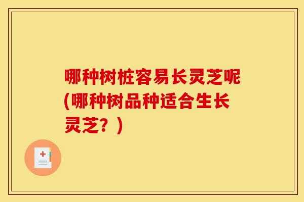 哪种树桩容易长灵芝呢(哪种树品种适合生长灵芝?) 哪种树桩容易长灵芝呢(哪种树品种适合生长灵芝?)