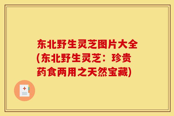 东北野生灵芝图片大全(东北野生灵芝:珍贵药食两用之天然宝藏) 东北野生灵芝图片大全(东北野生灵芝:珍贵药食两用之天然宝藏)