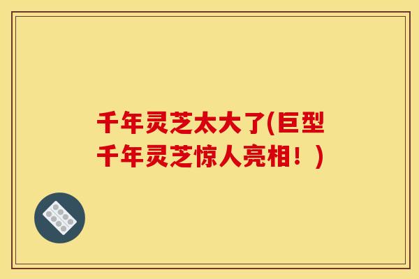 千年灵芝太大了(巨型千年灵芝惊人亮相!) 千年灵芝太大了(巨型千年灵芝惊人亮相!)