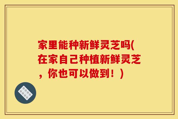 家里能种新鲜灵芝吗(在家自己种植新鲜灵芝，你也可以做到！)