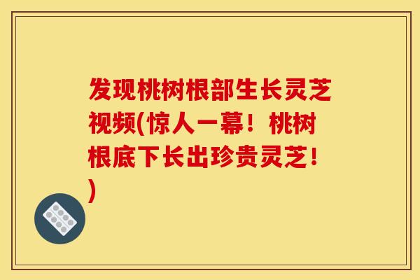 发现桃树根部生长灵芝视频(惊人一幕!桃树根底下长出珍贵灵芝!) 发现桃树根部生长灵芝视频(惊人一幕!桃树根底下长出珍贵灵芝!)