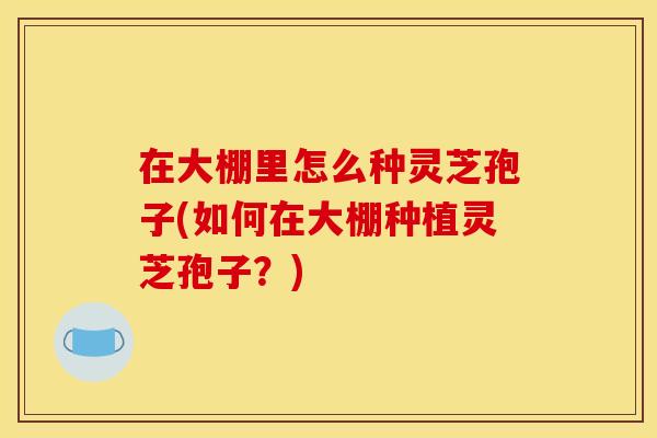 在大棚里怎么种灵芝孢子(如何在大棚种植灵芝孢子?) 在大棚里怎么种灵芝孢子(如何在大棚种植灵芝孢子?)