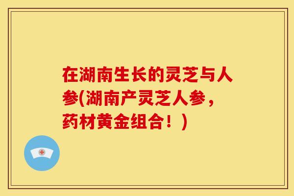 在湖南生长的灵芝与人参(湖南产灵芝人参,药材黄金组合!) 在湖南生长的灵芝与人参(湖南产灵芝人参,药材黄金组合!)