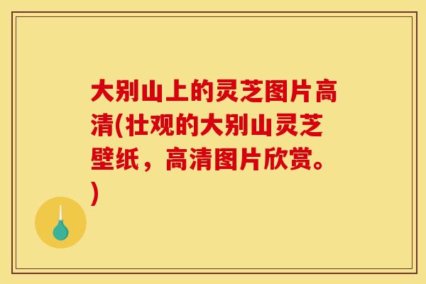 大别山上的灵芝图片高清(壮观的大别山灵芝壁纸,高清图片欣赏。) 大别山上的灵芝图片高清(壮观的大别山灵芝壁纸,高清图片欣赏。)