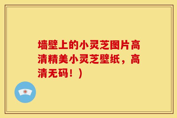 墙壁上的小灵芝图片高清精美小灵芝壁纸,高清无码!) 墙壁上的小灵芝图片高清精美小灵芝壁纸,高清无码!)