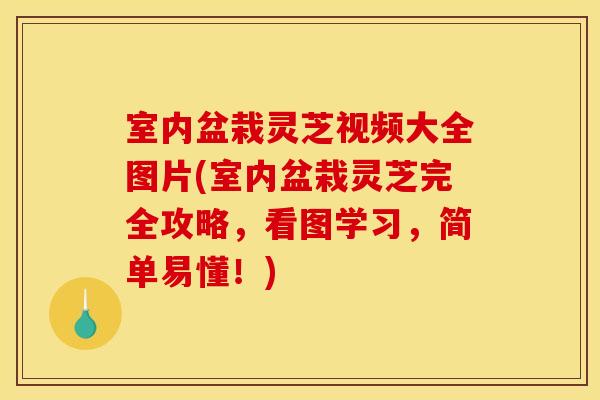 室内盆栽灵芝视频大全图片(室内盆栽灵芝完全攻略,看图学习,简单易懂!) 室内盆栽灵芝视频大全图片(室内盆栽灵芝完全攻略,看图学习,简单易懂!)