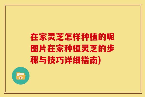 在家灵芝怎样种植的呢图片在家种植灵芝的步骤与技巧详细指南) 在家灵芝怎样种植的呢图片在家种植灵芝的步骤与技巧详细指南)