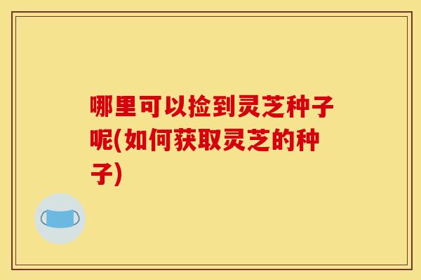哪里可以捡到灵芝种子呢(如何获取灵芝的种子)