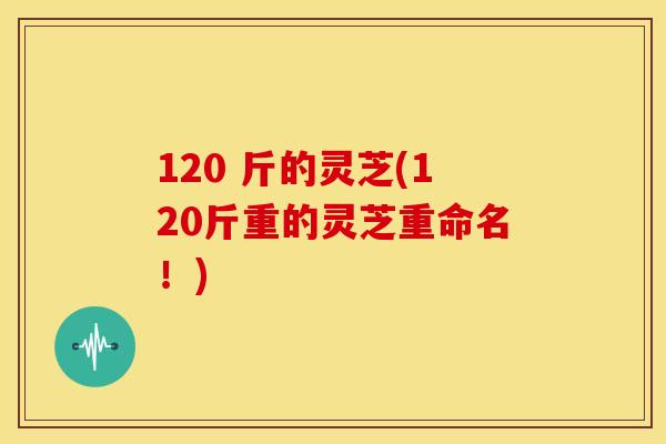 120 斤的灵芝(120斤重的灵芝重命名！)