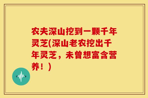 农夫深山挖到一颗千年灵芝(深山老农挖出千年灵芝，未曾想富含营养！)