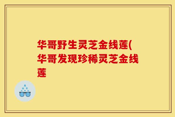 华哥野生灵芝金线莲(华哥发现珍稀灵芝金线莲 华哥野生灵芝金线莲(华哥发现珍稀灵芝金线莲
