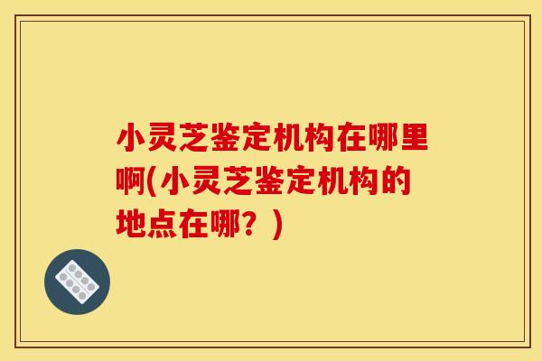 小灵芝鉴定机构在哪里啊(小灵芝鉴定机构的地点在哪?) 小灵芝鉴定机构在哪里啊(小灵芝鉴定机构的地点在哪?)