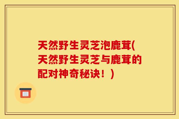天然野生灵芝泡鹿茸(天然野生灵芝与鹿茸的配对神奇秘诀！)