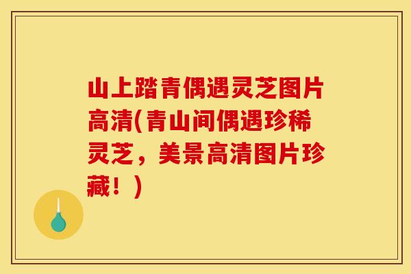 山上踏青偶遇灵芝图片高清(青山间偶遇珍稀灵芝，美景高清图片珍藏！)
