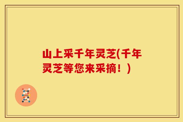 山上采千年灵芝(千年灵芝等您来采摘！)