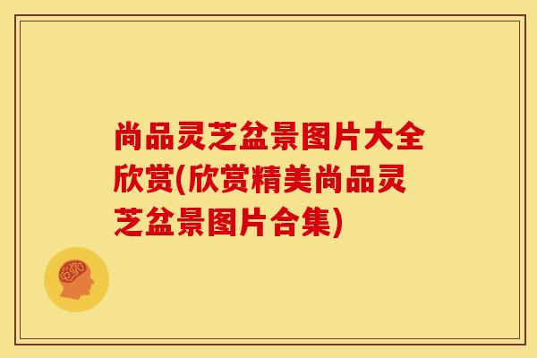 尚品灵芝盆景图片大全欣赏(欣赏精美尚品灵芝盆景图片合集)