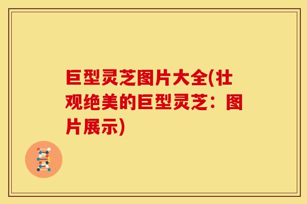 巨型灵芝图片大全(壮观绝美的巨型灵芝:图片展示) 巨型灵芝图片大全(壮观绝美的巨型灵芝:图片展示)