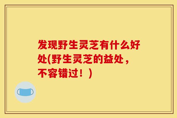 发现野生灵芝有什么好处(野生灵芝的益处,不容错过!) 发现野生灵芝有什么好处(野生灵芝的益处,不容错过!)
