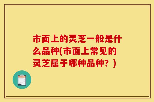 市面上的灵芝一般是什么品种(市面上常见的灵芝属于哪种品种?) 市面上的灵芝一般是什么品种(市面上常见的灵芝属于哪种品种?)
