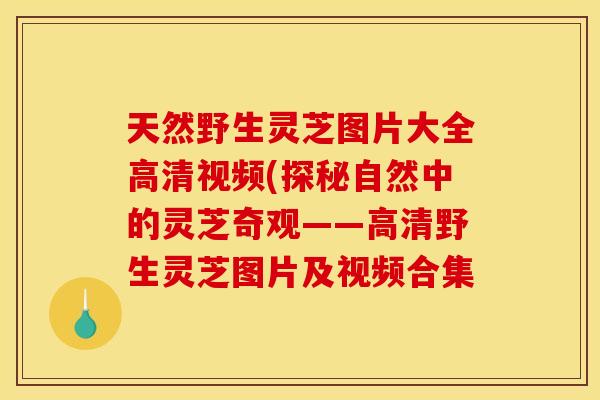 天然野生灵芝图片大全高清视频(探秘自然中的灵芝奇观——高清野生灵芝图片及视频合集