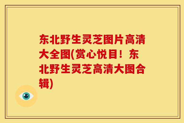 东北野生灵芝图片高清大全图(赏心悦目!东北野生灵芝高清大图合辑) 东北野生灵芝图片高清大全图(赏心悦目!东北野生灵芝高清大图合辑)