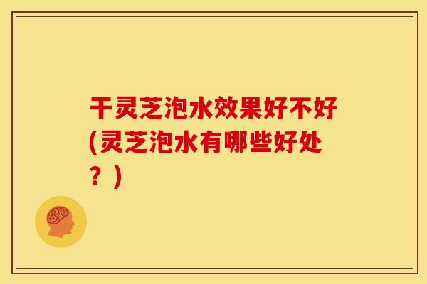 干灵芝泡水效果好不好(灵芝泡水有哪些好处？)