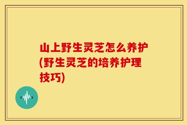 山上野生灵芝怎么养护(野生灵芝的培养护理技巧) 山上野生灵芝怎么养护(野生灵芝的培养护理技巧)