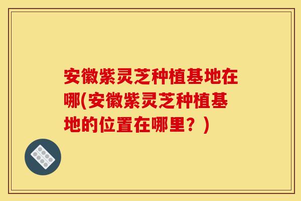 安徽紫灵芝种植基地在哪(安徽紫灵芝种植基地的位置在哪里？)