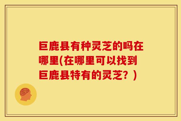 巨鹿县有种灵芝的吗在哪里(在哪里可以找到巨鹿县特有的灵芝？)