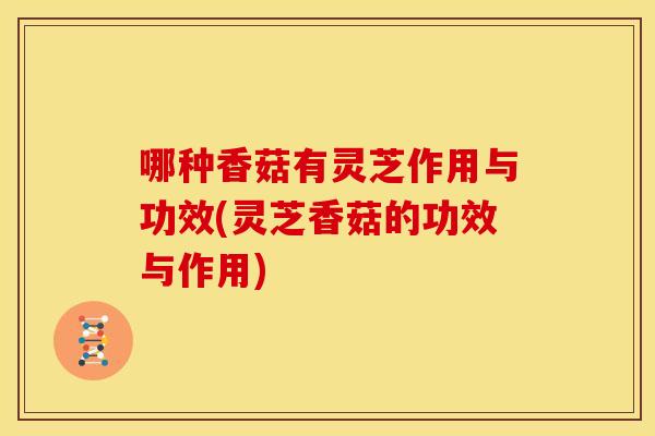 哪种香菇有灵芝作用与功效(灵芝香菇的功效与作用)