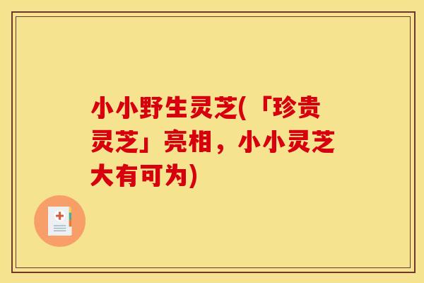 小小野生灵芝(「珍贵灵芝」亮相，小小灵芝大有可为)