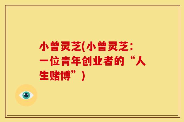 小曾灵芝(小曾灵芝：一位青年创业者的“人生赌博”)