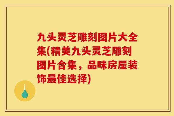 九头灵芝雕刻图片大全集(精美九头灵芝雕刻图片合集，品味房屋装饰最佳选择)
