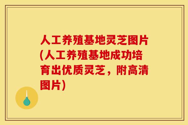 人工养殖基地灵芝图片(人工养殖基地成功培育出优质灵芝，附高清图片)