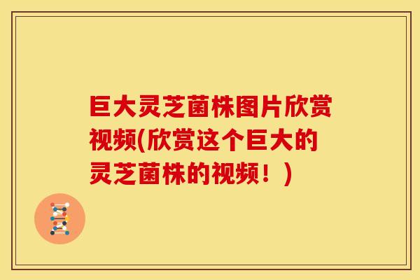 巨大灵芝菌株图片欣赏视频(欣赏这个巨大的灵芝菌株的视频！)