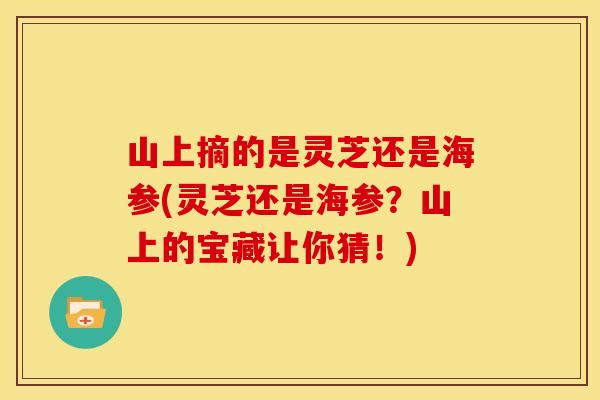 山上摘的是灵芝还是海参(灵芝还是海参?山上的宝藏让你猜!) 山上摘的是灵芝还是海参(灵芝还是海参?山上的宝藏让你猜!)