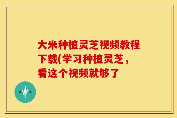 大米种植灵芝视频教程下载(学习种植灵芝，看这个视频就够了