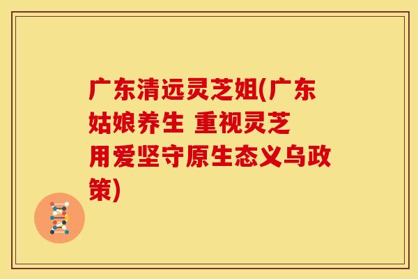 广东清远灵芝姐(广东姑娘养生 重视灵芝 用爱坚守原生态义乌政策)
